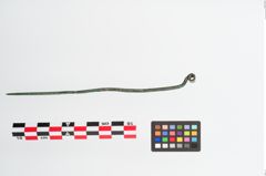 Foto von Bronzerollenkopfnadel (NHMW-PRAE-024282)